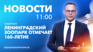Новости Петербурга к 11:00