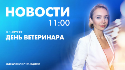 Новости Петербурга к 11:00