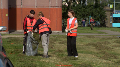 Как прошел летний трудовой сезон в жилищном агентстве Невского района для школьников