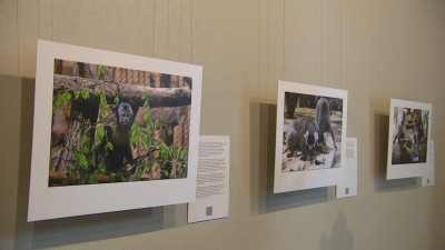 Ленинградский зоопарк 14 августа отметит 160-летие