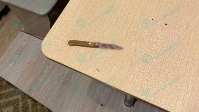 Петербурженку будут судить за убийство знакомого во время застолья