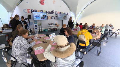 В центре внимания — образование, культура и досуг: отчет с Большого семейного фестиваля в Приморском парке Победы