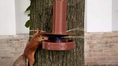 В ЦПКиО им. Кирова тестируют специально созданные поилки для пушистых