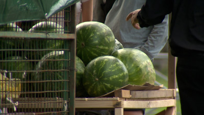 В Петербурге официально открыли сезон арбузов