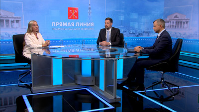 Бюджет Петербурга, озеленение и борьба с незаконной торговлей: как прошла прямая линия с вице-губернатором Алексеем Корабельниковым