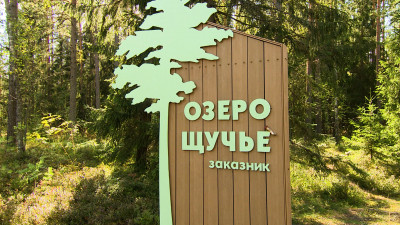 45 километров «Озёрной тропы»: первый экомаршрут соединит Петербург и Ленобласть