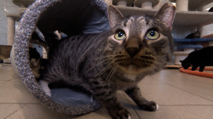 Подопечные и сотрудники приюта «Преданное сердце»