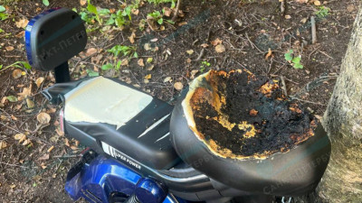 Петербурженка подожгла электромопед соседа, не дававшего ей подкармливать бездомных кошек