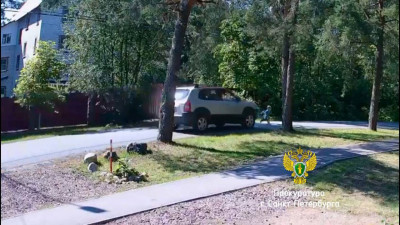 Двухлетний мальчик попал под колеса иномарки в Песочном