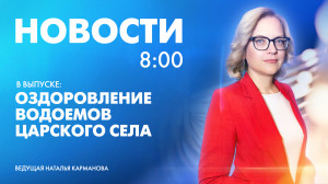 Новости Петербурга к 8:00