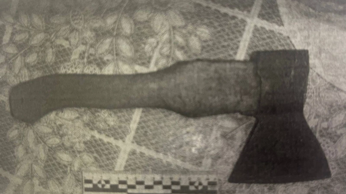 Петербуржца будут судить за смертельное избиение собственной матери - tvspb.ru