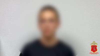 В Петербурге задержаны причастные к избиению мужчины на детской площадке на улице Костюшко