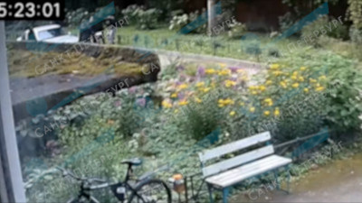 Мигрант попытался похитить 11-летнего ребенка в Гатчинском районе