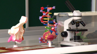 Петербургские возможности: что ждёт учеников в новых школах