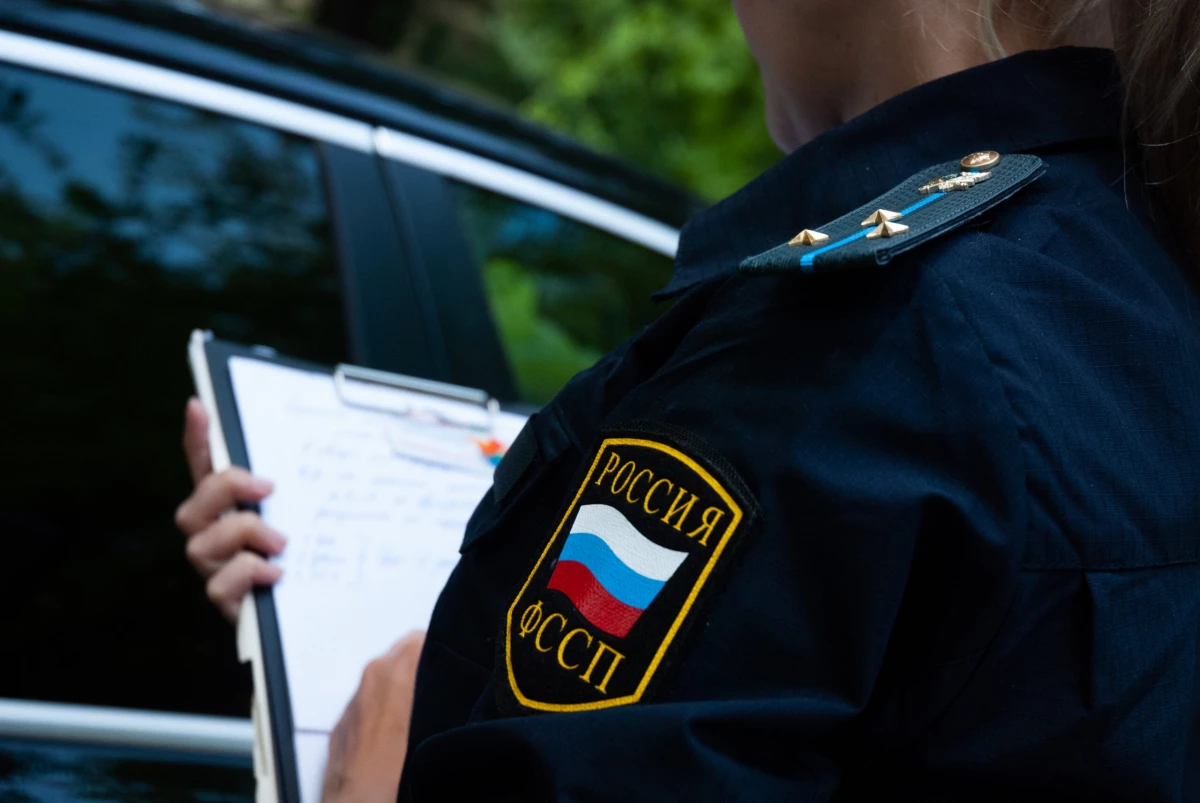 Петербурженке возместили расходы на ремонт автомобиля после падения дерева - tvspb.ru