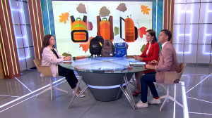 Груз знаний: в России ввели новый ГОСТ на школьные рюкзаки, в том числе — по весу