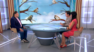 Воробьёв по осени считают. Как проходит перепись этих пернатых