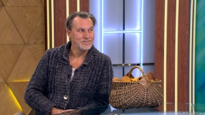 Самые грибные места и лучшие грибы этого лета