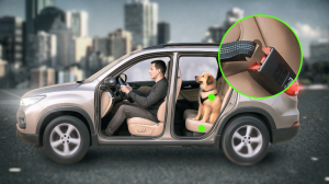 Причина остановки. Перевозка домашних животных