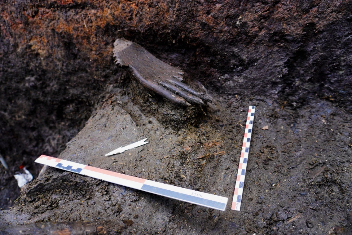 Участники экспедиции Эрмитажа при раскопах в Смоленской области нашли деревянную кисть руки - tvspb.ru