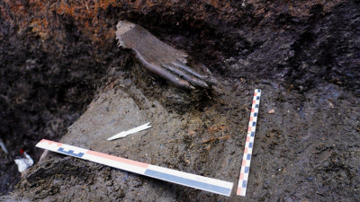 Участники экспедиции Эрмитажа при раскопах в Смоленской области нашли деревянную кисть руки