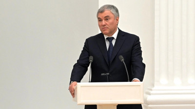 «Принятые нормы работают»: Володин оценил эффективность мер против нелегальной миграции в России