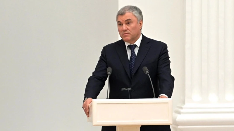 Володин рассказал о снижении числа допущенных до учебы детей мигрантов - tvspb.ru