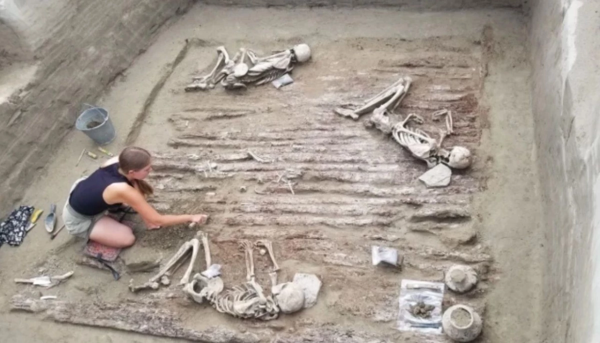 Петербургские археологи обнаружили в Туве бедное скифское захоронение - tvspb.ru