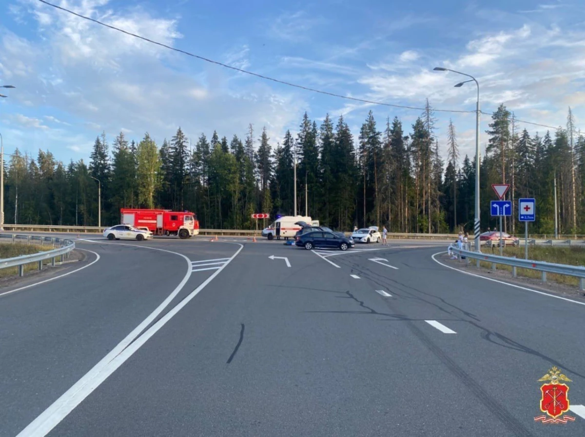 Полиция Ленобласти расследует смертельное ДТП на трассе «Голубые Озёра – Победа – Поляны» - tvspb.ru