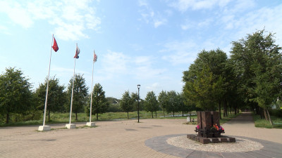 Аллею Чернобыльцев благоустроят в Приморском районе