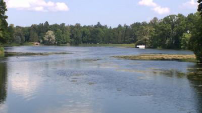 В Петербурге стартовал уникальный экологический проект – оздоровления водоемов Царского Села