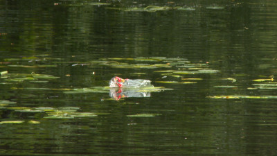 В Петербурге начались работы по очистке русла Чёрной речки