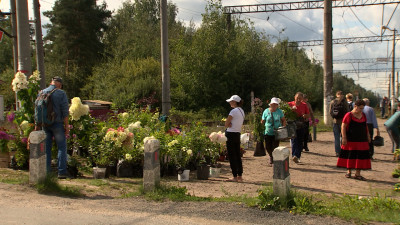 Александр Беглов: Садоводства стали частью нашей ленинградской-петербургской культуры