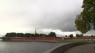 В Петербурге объявлен «жёлтый» уровень погоды из-за сильного ветра