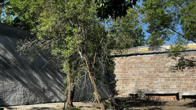 В Кронштадте предотвратили обрушение подпорных стен Петровского оврага