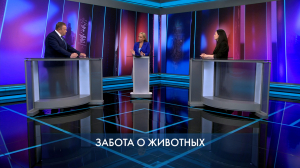 Петербург – город решений. Содержание домашних животных. 14 августа 2025