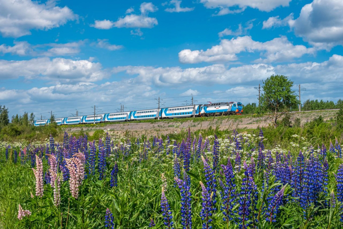 Число поездов «Аврора» между Москвой и Петербургом увеличат в два раза - tvspb.ru