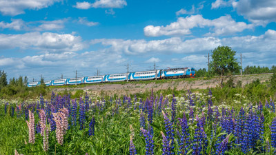 Число поездов «Аврора» между Москвой и Петербургом увеличат в два раза