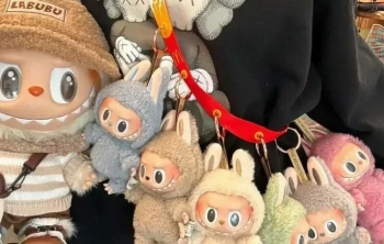 Петербуржцев предупредили о мошеннической схеме с криптовалютой и Labubu