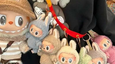 Петербуржцев предупредили о мошеннической схеме с криптовалютой и Labubu