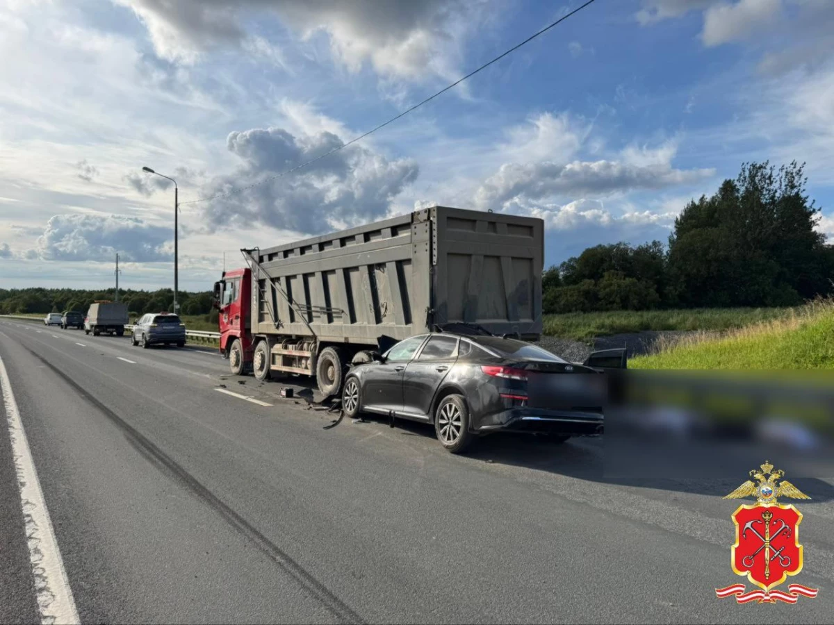 В Кингисеппском районе проводится проверка по факту смертельного ДТП на трассе «Нарва» - tvspb.ru