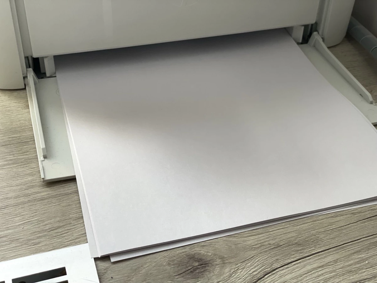 ВЦИОМ: половина россиян готовы минимизировать использование бумаги ради экологии - tvspb.ru