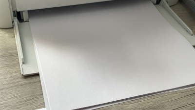 ВЦИОМ: половина россиян готовы минимизировать использование бумаги ради экологии