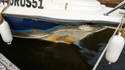 Два катера столкнулись в Ленобласти – на одном находились пассажиры