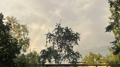 Вечерняя радуга скрасила очередной дождливый день в Петербурге