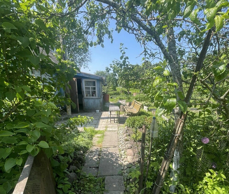 В 2026 году в России проведут высокоскоростной интернет в селах и деревнях, где проживают от 100 до 1000 человек - tvspb.ru