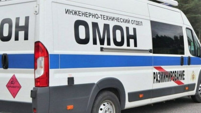 Жительница Гатчины во время ремонта квартиры нашла две гранаты и детонатор