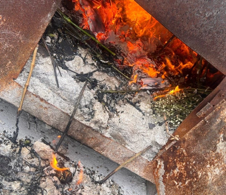 В Петербурге уничтожили партию кенийских роз - tvspb.ru