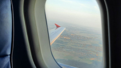 Кокер-спаниель из Петербурга стал «штурманом» самолета и уже налетал около 300 часов