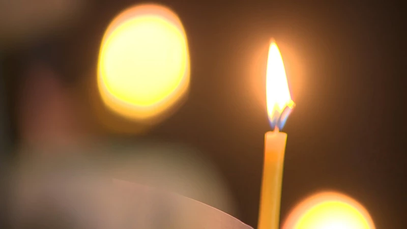 Умер заслуженный тренер СССР по шахматам Анатолий Быховский - tvspb.ru